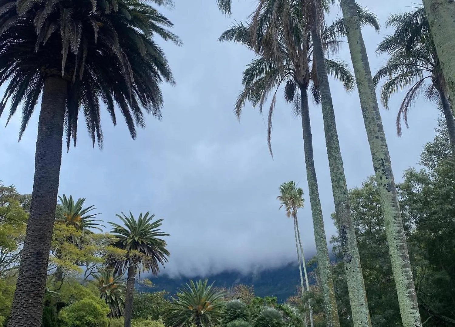 Hotel Glenhof à Le Cap 0*,  Afrique du Sud
